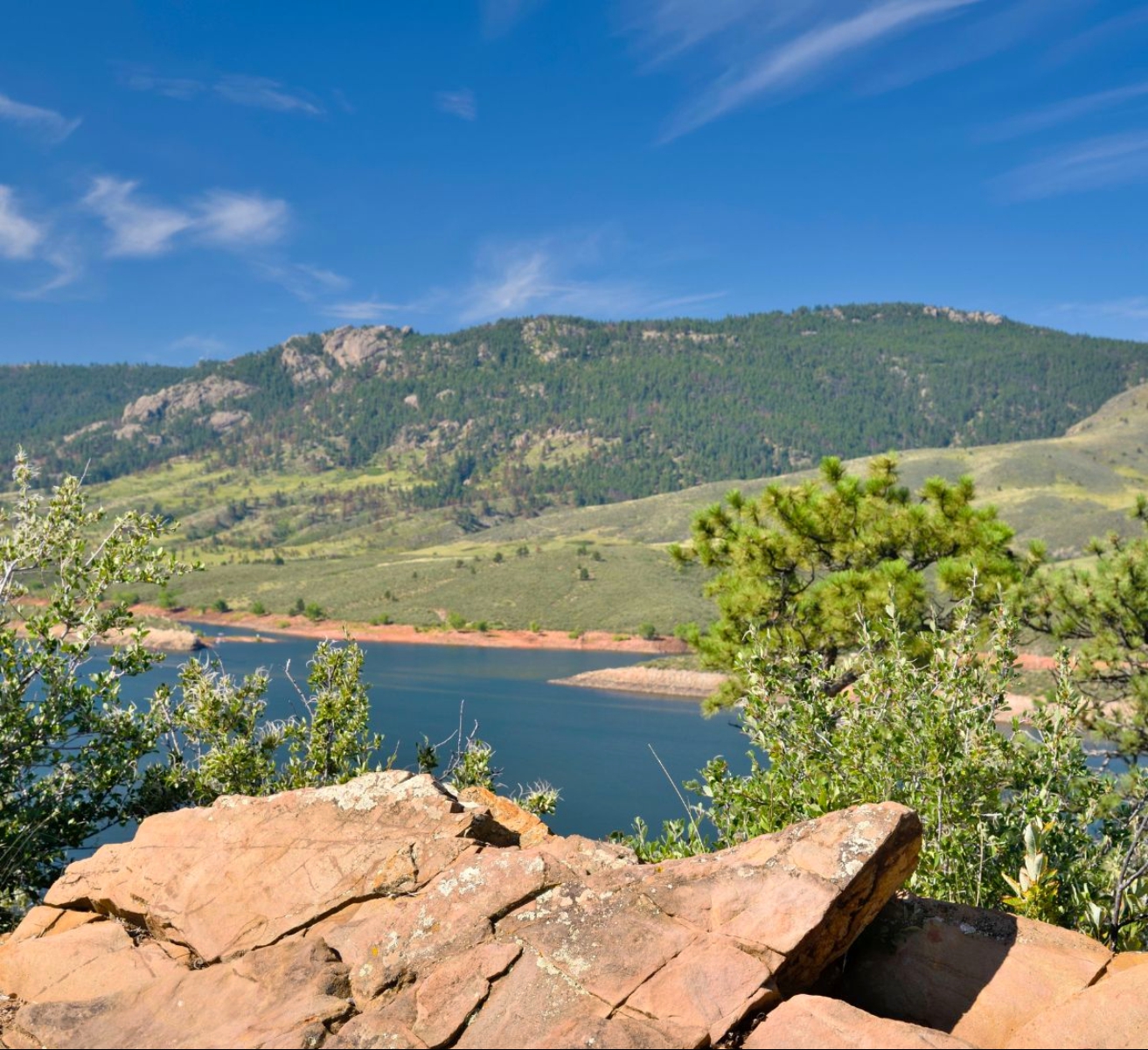 Copy of Copy of Copy of Green Video Picture Framed Hiring Announcement Non-static LinkedIn Post_inPixio